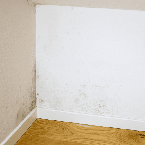 Slab Leak Detection In San Diego, CA